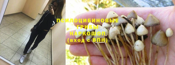 PSILOCYBIN Балахна