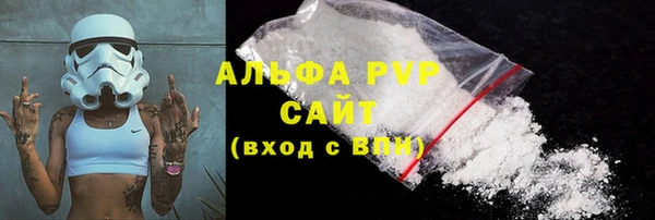 PSILOCYBIN Балахна