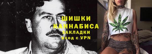 PSILOCYBIN Балахна