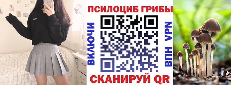 Псилоцибиновые грибы Cubensis  купить наркотики сайты  Кущёвская 